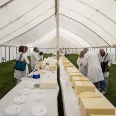 Mid Somerset Show 42