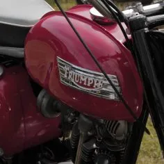 Triumph