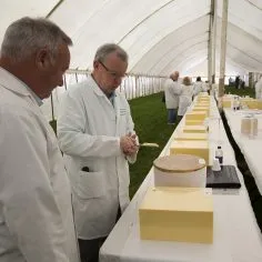 Mid Somerset Show 43
