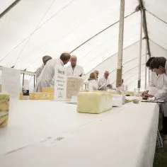 Mid Somerset Show 46