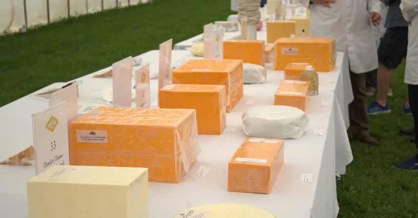 The Cheese Awards @ The Mid Somerset Show