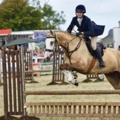 mid-somerset-show-showground-hire-7