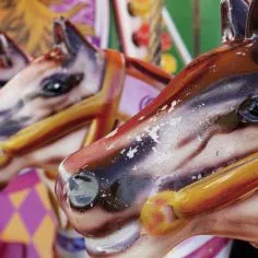 Horse-ride-2