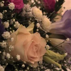 Flower-